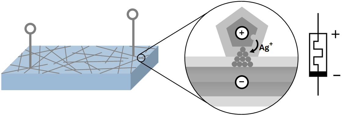 Schematic of a nanowire network with memristive junctions
