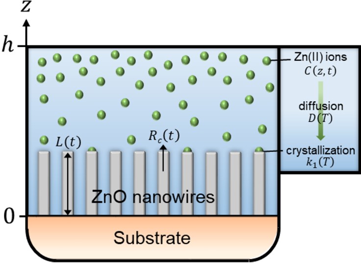 NanomaterialsLausecker2022